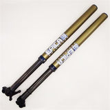 Lainer EPICA WORKS FORK BETA RR